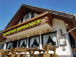 Гостиница Hotel Landhaus Sonnenhof, Тодтнау